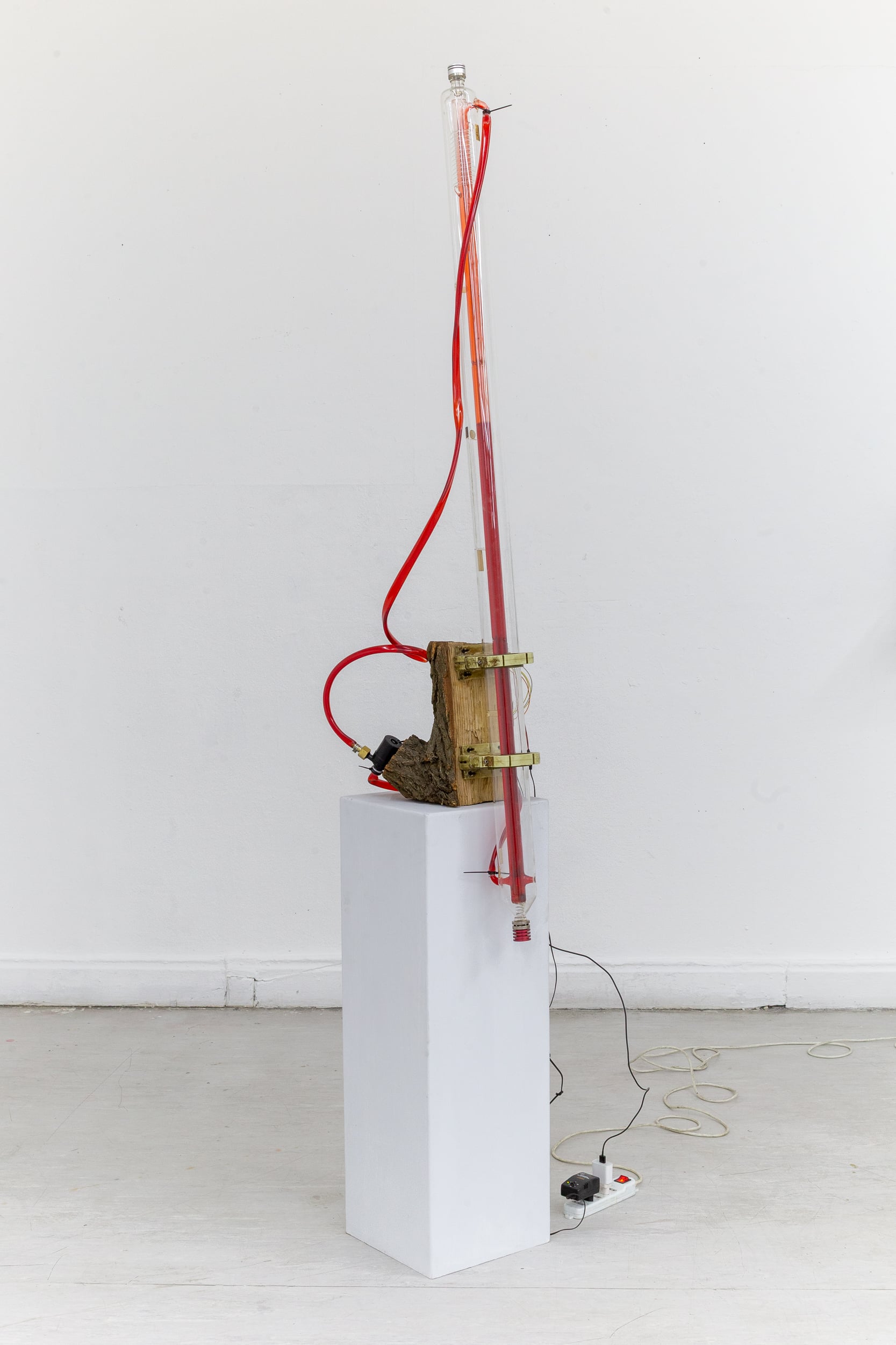 Donante Universal detalle 1